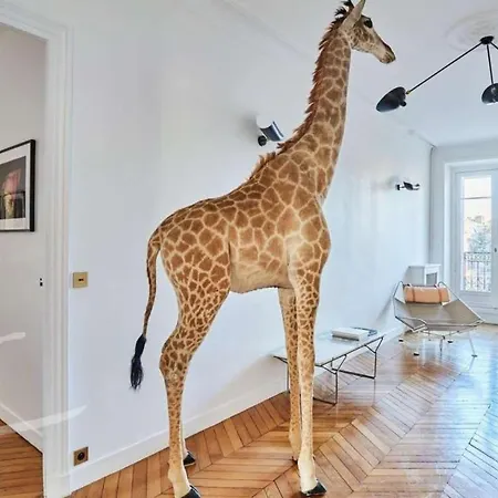 Luxury In Apartmán